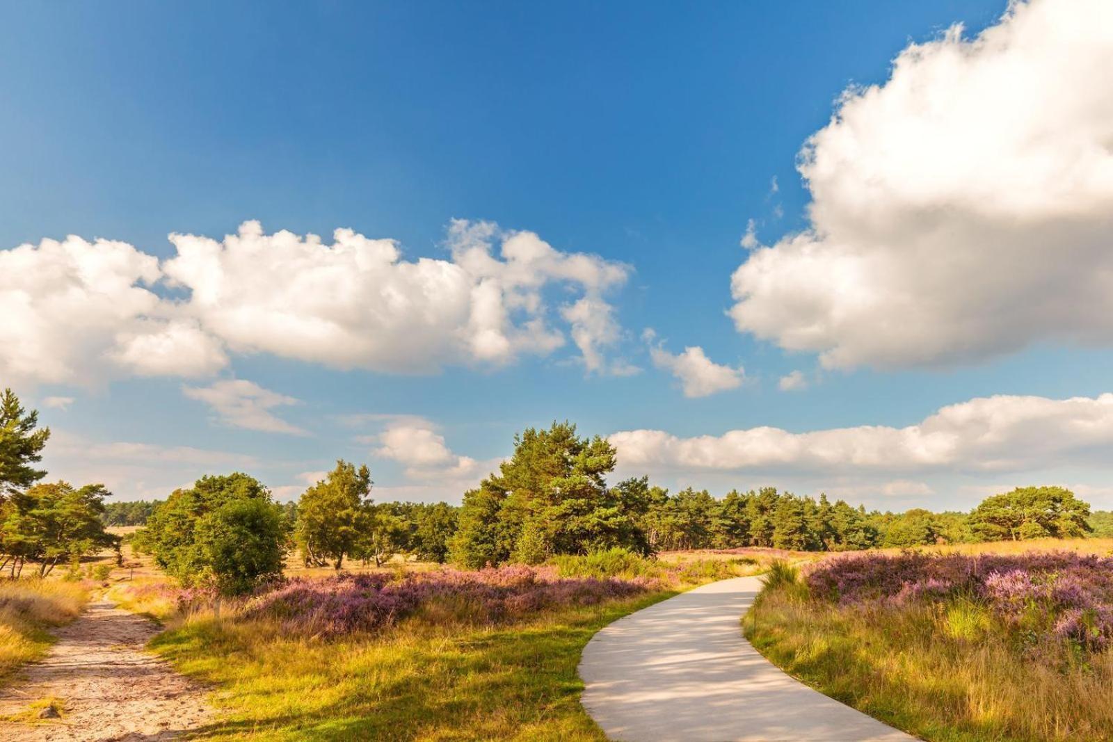 Top Luxe Chalet - Kindvriendelijk - Bos En Heide ฮาร์เดอร์วิก ภายนอก รูปภาพ